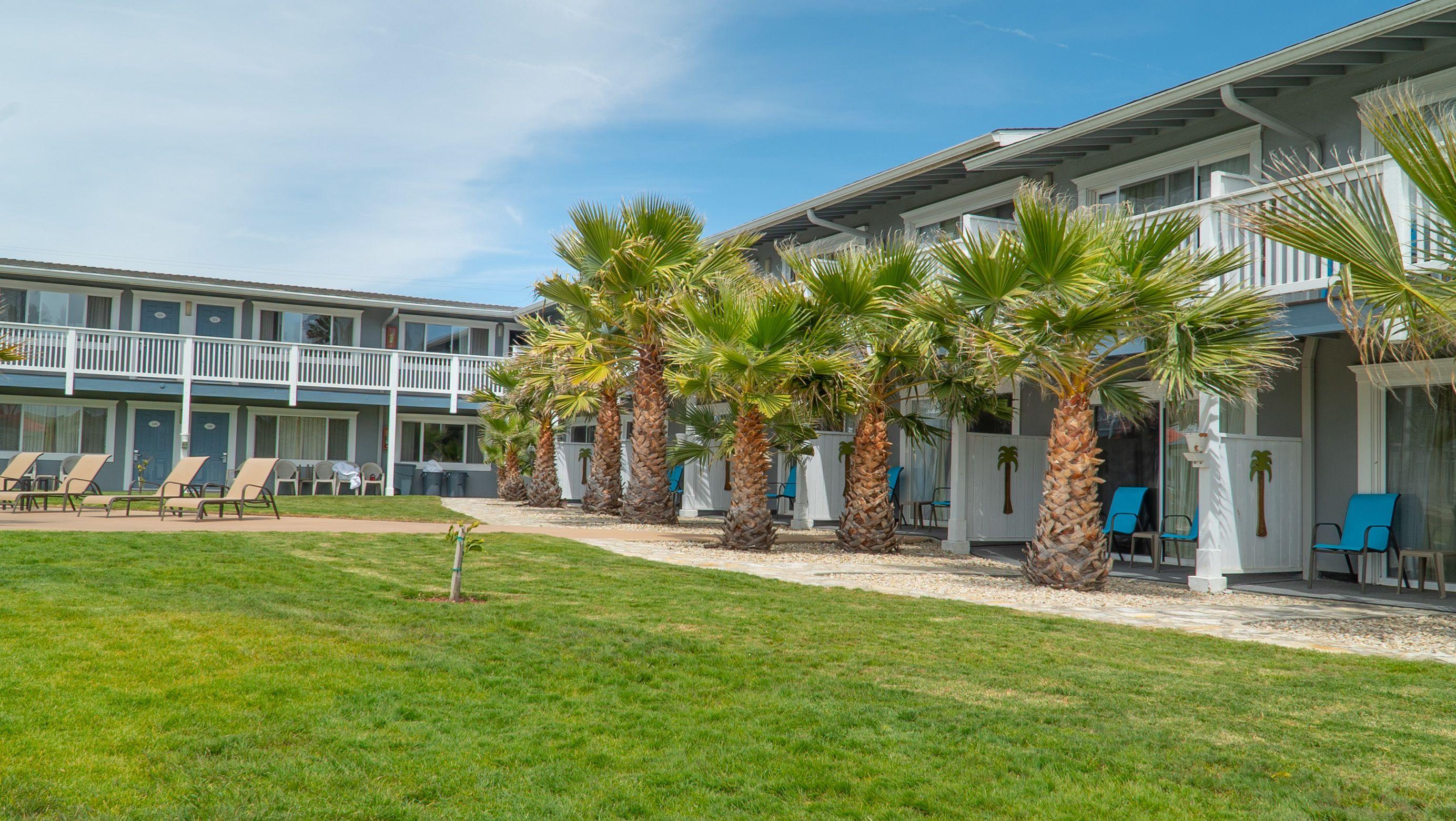 King Room Courtyard View